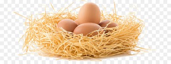 Chicken Bacon, egg and cheese sandwich Edible bird's nest - chicken 