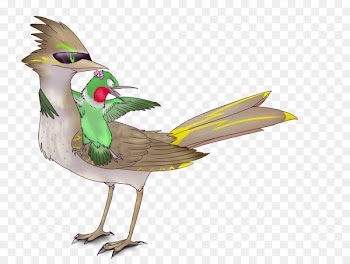 Chicken, Bird, Beak PNG