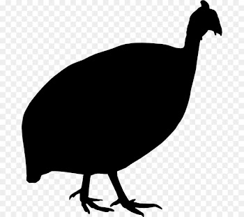 Chicken Bird Beak Wing Clip art -  