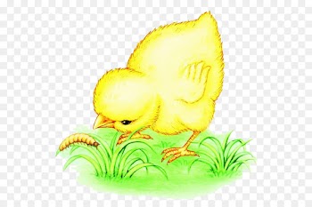 Chicken Bird Eating Worm Illustration - Eating insects chick 
