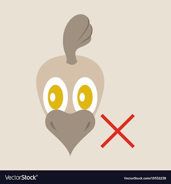 Chicken bird engraving drawn flat vector image
