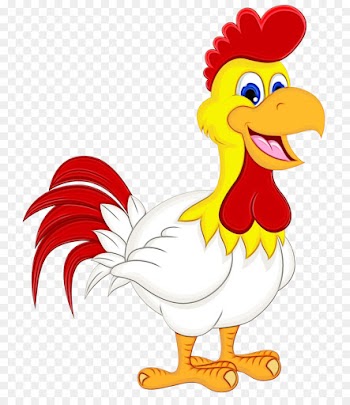 chicken bird rooster cartoon beak
