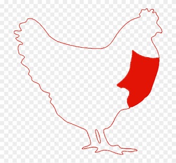 Chicken Breast - Chicken As Food