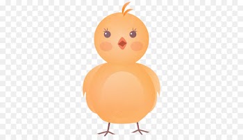 Chicken Cartoon Clip art - Chick pictures 