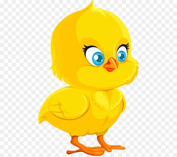 Chicken Cartoon Royalty-free Drawing - Yellow chick 