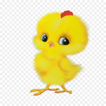Chicken Child First Hen Rooster Game - chick 