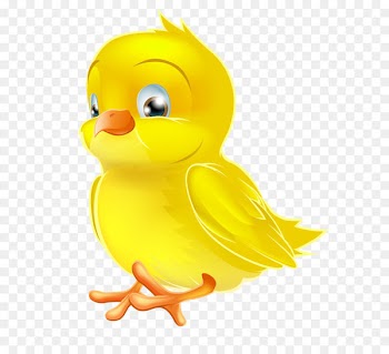 Chicken Clip art - Painted Yellow Easter Chick PNG Clipart Picture 