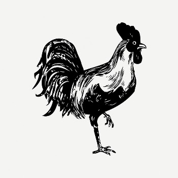 Chicken clipart, vintage illustration psd. | Free PSD Illustration - rawpixel