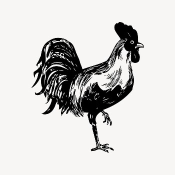 Chicken collage element, drawing illustration | Free Vector Illustration - rawpixel