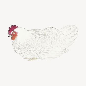 Chicken collage element, farm animal | Free PSD Illustration - rawpixel
