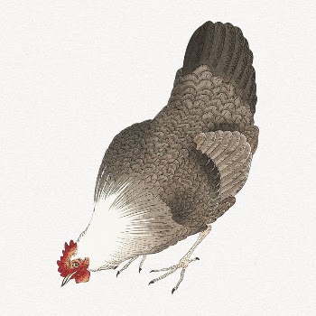 Chicken collage element, farm animal | Free PSD Illustration - rawpixel