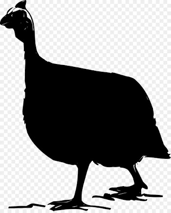 Chicken Cygnini Goose Duck Water bird -  