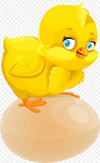 Chicken Drawing Animation Cartoon - easter chick 