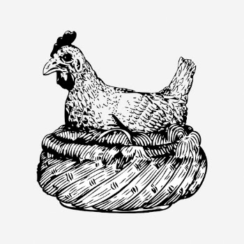 Chicken drawing, vintage animal illustration. | Free Photo - rawpixel