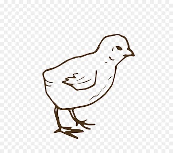 Chicken Duck Portable Network Graphics Clip art Image - for old chicks 