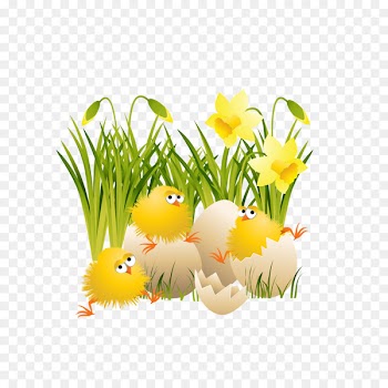 Chicken Easter Clip art - chick 