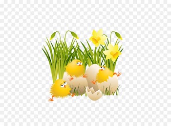Chicken Easter Clip art - Large Easter Chicks 
