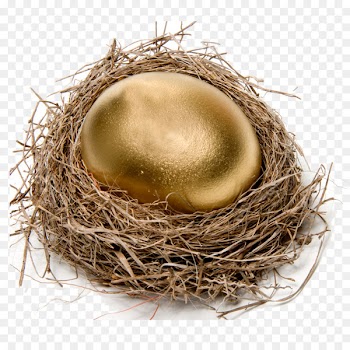 Chicken Easter egg Nest Stock photography - Golden egg 