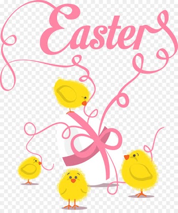 Chicken Easter Kifaranga Graphic design Illustration - Vector bird and Easter 