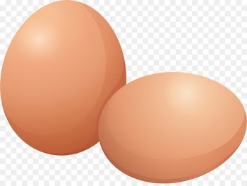 Chicken Egg Animation Illustration - Two fresh eggs 
