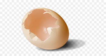 Chicken Egg Broken Eggshell Peel - Broken shell eggs 