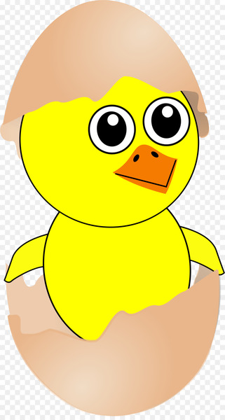 Chicken Egg Cartoon Drawing - Chick Cliparts 