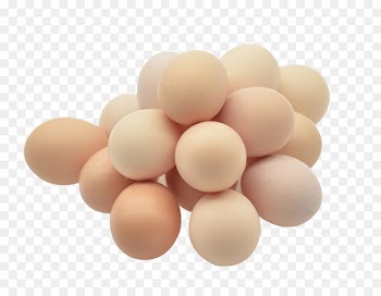 Chicken egg Chicken egg Egg white - Egg material 