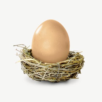 Chicken egg collage element, isolated | Free PSD - rawpixel