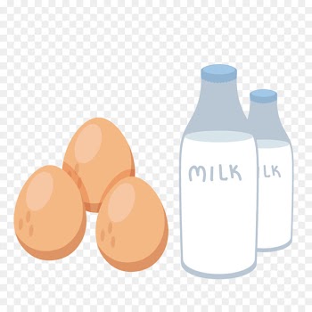 Chicken egg Cows milk - Vector milk, eggs 