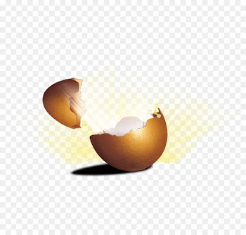 Chicken egg Download - Cracked eggs 