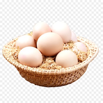 Chicken egg Download - Live stupid eggs publicity 