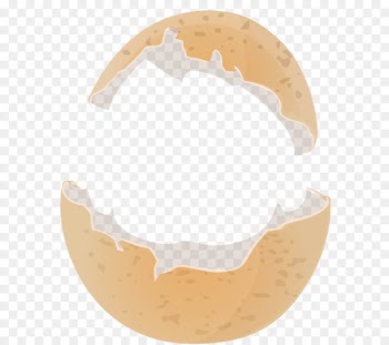 Chicken egg Eggshell - Broken egg shell 