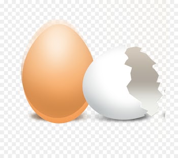 Chicken egg Eggshell uaecduc9c8 - egg 