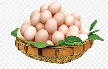 Chicken egg Free range Yolk - Basket of eggs 