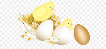 Chicken Egg Illustration - Easter Eggs and Chickens PNG Picture Clipart 