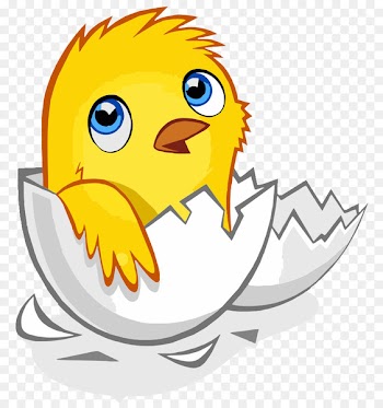 Chicken Egg Kifaranga Hen - broken egg shell 