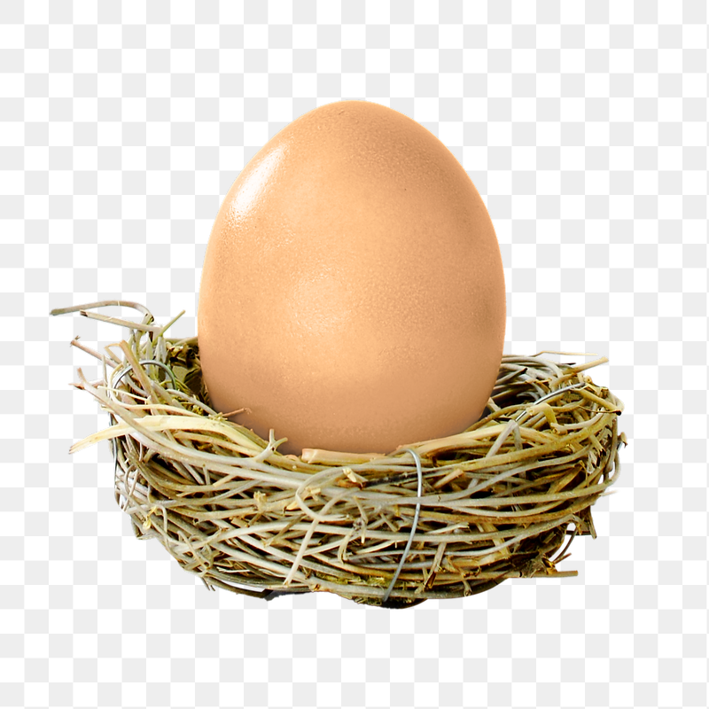 Chicken egg png sticker, transparent | Free PNG - rawpixel