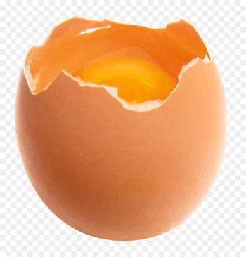 Chicken Egg Yolk - Broken Egg 