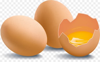 Chicken egg Yolk Chicken egg - fresh eggs and broken egg vector 