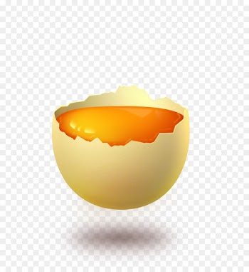 Chicken egg Yolk Egg white - Open eggs 