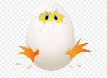 Chicken Eggs Benedict Clip art - Easter Chicken in Egg PNG Clip Art Image 