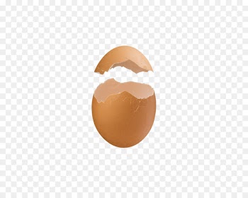 Chicken Eggshell Computer file - Egg shell 