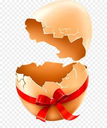 Chicken Eggshell Yolk - Broken eggs 
