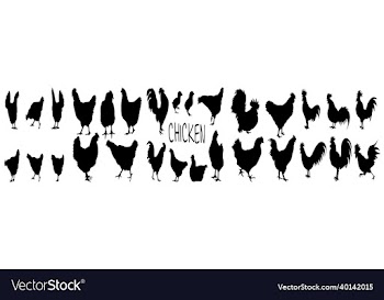 chicken farmer set