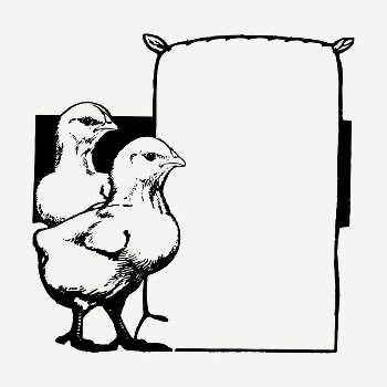 Chicken frame drawing, vintage illustration | Free PSD - rawpixel
