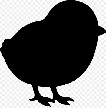Chicken, Fried Chicken, Buffalo Wing, Bird, Beak PNG