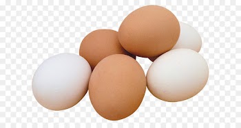 Chicken Fried egg Ham and eggs Scrambled eggs - chicken 