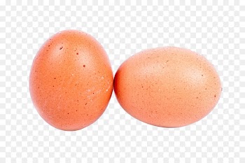 Chicken meat Egg Food Fat - Two eggs in soil 