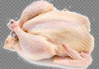 Chicken Meat PNG Background Image