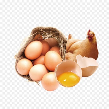 Chicken Organic food Veal Milanese Egg Bocadillo - Live stupid eggs publicity 
